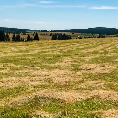 - Erzgebirge 1646 Feriehus Nové Hamry