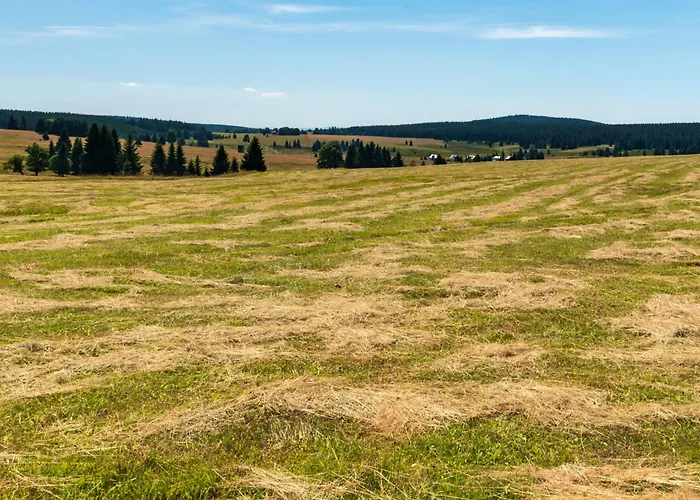 - Erzgebirge 1646 Дом отдыха Нове-Хамри