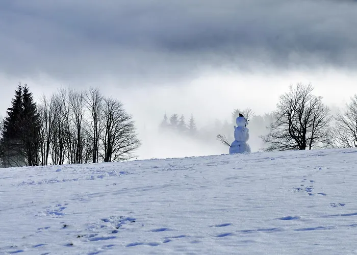 - Erzgebirge 1646 * Нове-Хамри